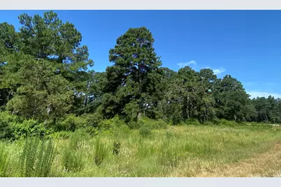 Lot 8 County Road 114, Centerville, TX 75833 - Photo 11