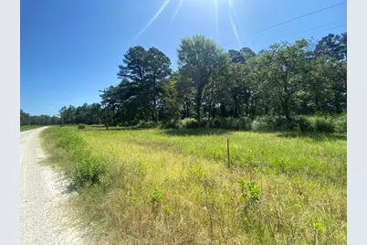 Lot 8 County Road 114, Centerville, TX 75833 - Photo 3