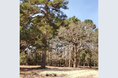 Lot 8 County Road 114, Centerville, TX 75833 - Photo 7
