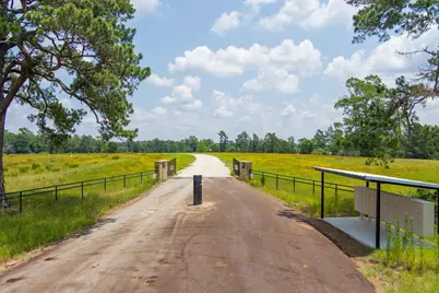 Lot 8 County Road 114, Centerville, TX 75833 - Photo 9
