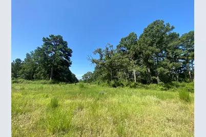 Lot 8 County Road 114, Centerville, TX 75833 - Photo 1