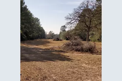 Lot 8 County Road 114, Centerville, TX 75833 - Photo 7