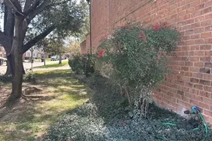 5921 Arncliffe Dr, Houston, TX 77088 - Photo 3