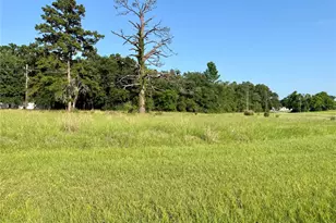 Tbd Hot Springs Dr, Trinity, TX 75862 - Photo 1