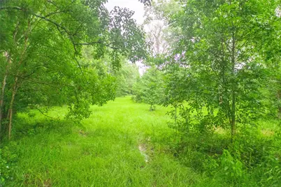 155 Dobbin, Livingston, TX 77351 - Photo 27