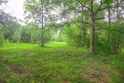 155 Dobbin, Livingston, TX 77351 - Photo 35