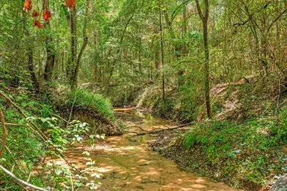 6888 County Road 344, Navasota, TX 77868 - Photo 3