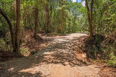 6888 County Road 344, Navasota, TX 77868 - Photo 11