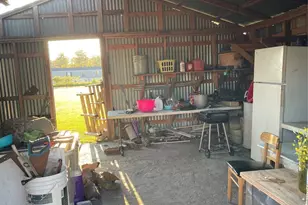 59 Wallace Rd, Huntsville, TX 77320 - Photo 15