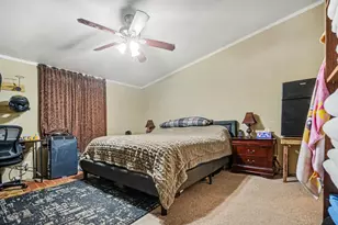 10641 County Rd 583B, Alvin, TX 77511 - Photo 9