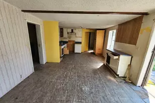 124 Co Rd 466, Alice, TX 78332 - Photo 3