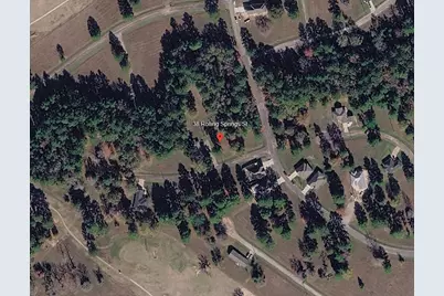 38 Rolling Springs, Trinity, TX 75862 - Photo 1