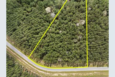 16039 Forest Mill Road, Willis, TX 77378 - Photo 5