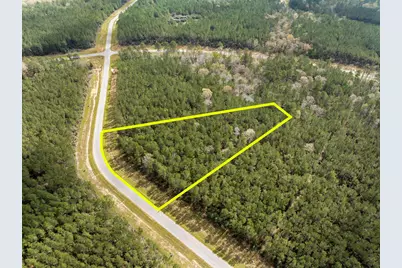 16039 Forest Mill Road, Willis, TX 77378 - Photo 7