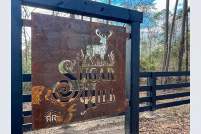 01 Fm 350, Livingston, TX 77351 - Photo 1