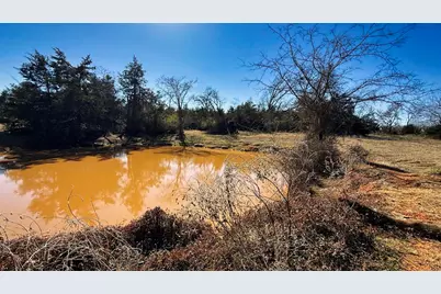 Tbd #3 County Road 477, Henderson, TX 75654 - Photo 11