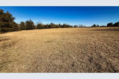 Tbd #3 County Road 477, Henderson, TX 75654 - Photo 5