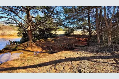 Tbd #3 County Road 477, Henderson, TX 75654 - Photo 17