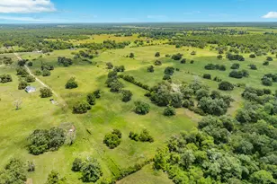 438 County Rd 164, Cedar Lane, TX 77414 - Photo 39