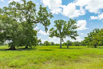 438 County Road 164, Cedar Lane, TX 77414 - Photo 37
