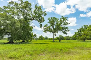 438 County Rd 164, Cedar Lane, TX 77414 - Photo 37
