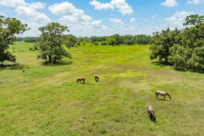438 County Road 164, Cedar Lane, TX 77414 - Photo 33