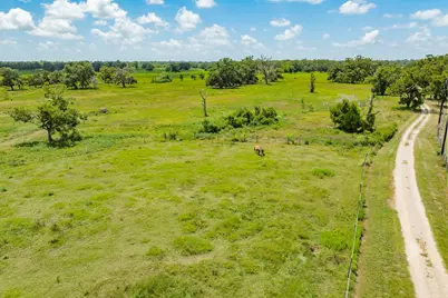 438 County Road 164, Cedar Lane, TX 77414 - Photo 5