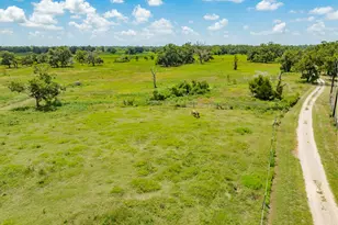 438 County Rd 164, Cedar Lane, TX 77414 - Photo 5