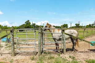 438 County Rd 164, Cedar Lane, TX 77414 - Photo 29