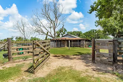 438 County Road 164, Cedar Lane, TX 77414 - Photo 19