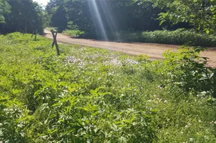 278 Country Way, Smithville, TX 78957 - Photo 7