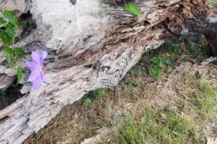 278 Country Way, Smithville, TX 78957 - Photo 17