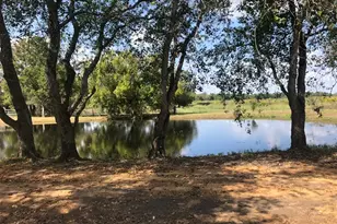 10910 Hwy 36, Needville, TX 77461 - Photo 19