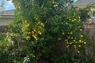 3418 Sapling Oak Dr, Houston, TX 77082 - Photo 21