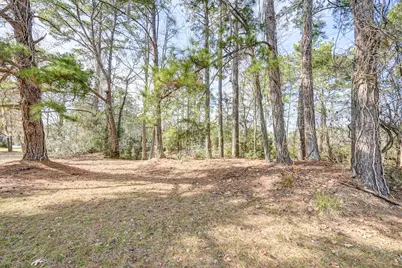 53 Smith Loop N, Cleveland, TX 77327 - Photo 19