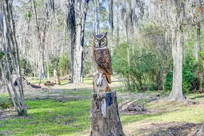 53 Smith Loop N, Cleveland, TX 77327 - Photo 39