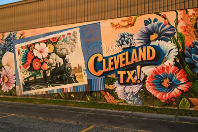 53 Smith Loop N, Cleveland, TX 77327 - Photo 49