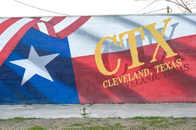 53 Smith Loop N, Cleveland, TX 77327 - Photo 47