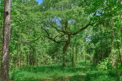 Tract C Sharp View Road, Montgomery, TX 77356 - Photo 3