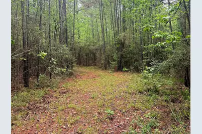 Tbd Peyton Lane, Woodville, TX 75979 - Photo 3