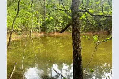 Tbd Peyton Lane, Woodville, TX 75979 - Photo 5