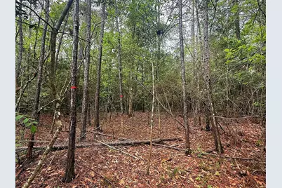 Tbd Peyton Lane, Woodville, TX 75979 - Photo 7