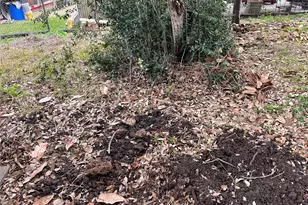 5551 Winding Creek Way, Houston, TX 77017 - Photo 13