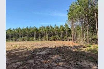 4419 Menard  Chapel Road E, Livingston, TX 77351 - Photo 5
