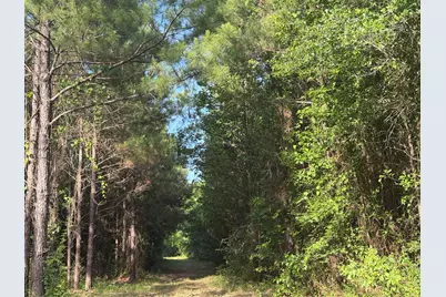 4419 Menard  Chapel Road E, Livingston, TX 77351 - Photo 3