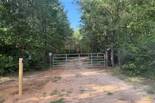 4419 Menard Chapel Road E, Livingston, TX 77351 - Photo 1