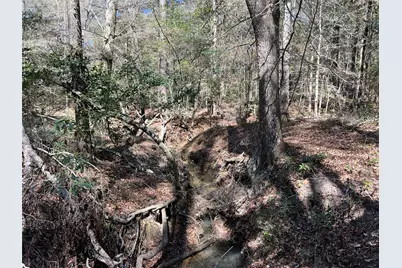 Tbd E Fm 1988, Goodrich, TX 77335 - Photo 19