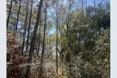 Tbd E Fm 1988, Goodrich, TX 77335 - Photo 7