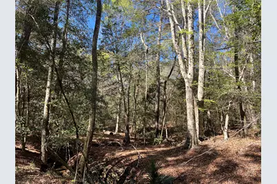 Tbd E Fm 1988, Goodrich, TX 77335 - Photo 17