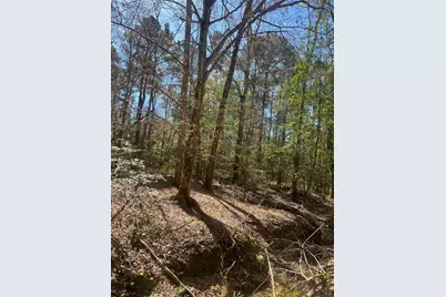 Tbd E Fm 1988, Goodrich, TX 77335 - Photo 11